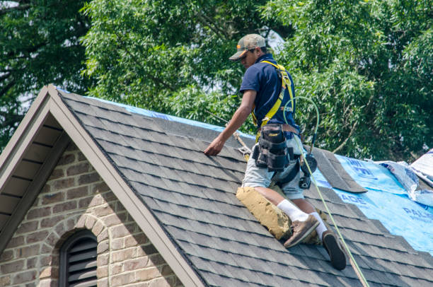 Professional Roofing Contractor in Wailua Homesteads, HI